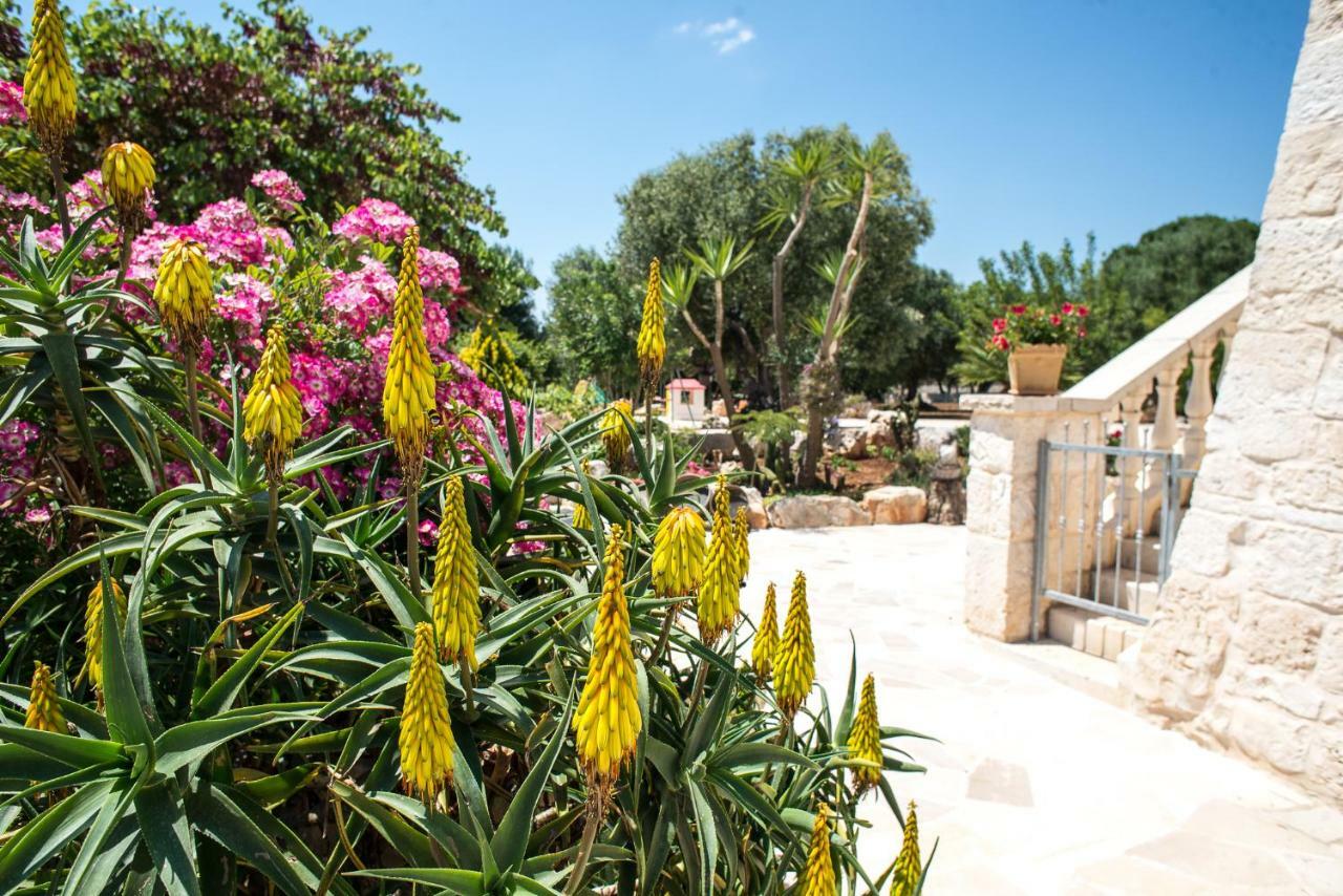 Agriturismo Grotta Di Figazzano 치스테르니노 외부 사진