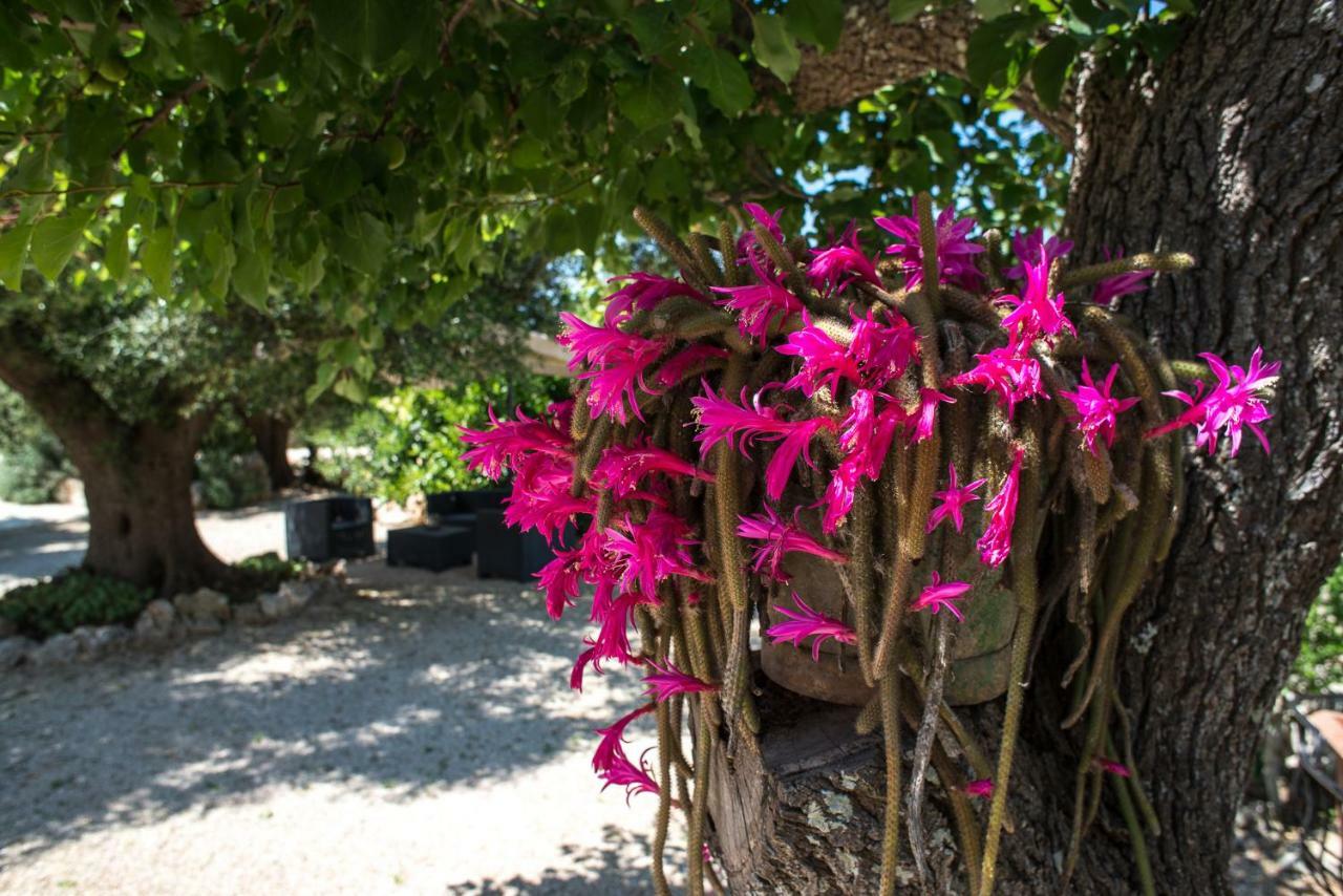 Agriturismo Grotta Di Figazzano 치스테르니노 외부 사진
